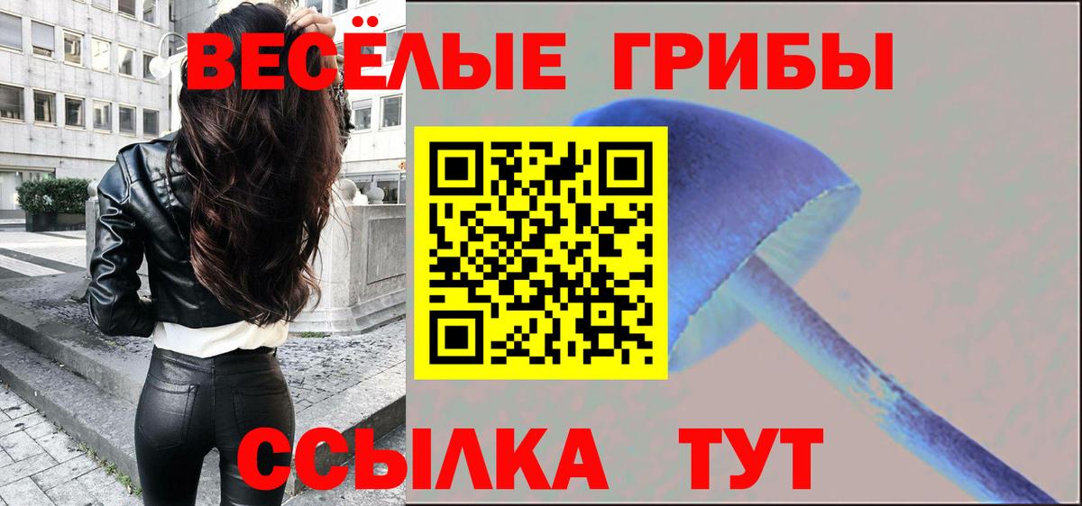 Кизляр  Галлюциногенные грибы ЛСД  Вход с VPN 